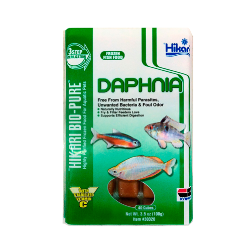daphnia