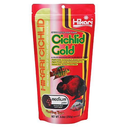 Hikari® Cihclid Gold Medium 8.8oz