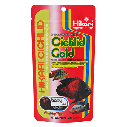Cichlid Gold