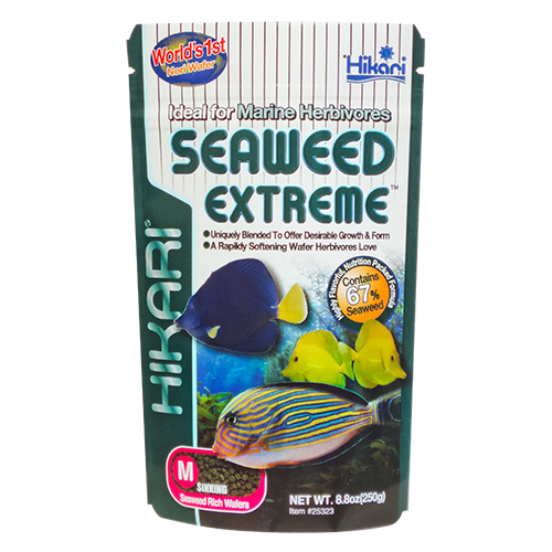 seaweed extreme