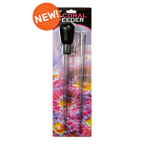 Rio® Coral Feeder with New Badge