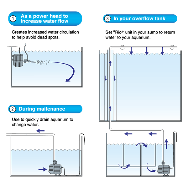 Rio Aqua Pump Diagram For Use