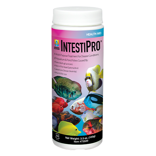 IntestiPro