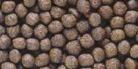 cichlid bio gold medium pellet