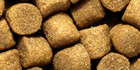 Large SH Growth Sinking Pellet