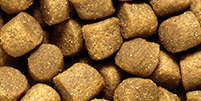 Medium SH Growth Sinking Pellet