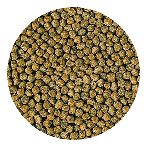 Pellets Gallery Image