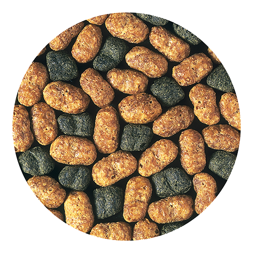 Pellets Gallery Image