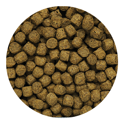 Pellets Gallery Image