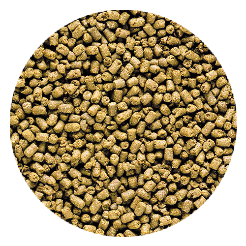 SH Marine Carnivore Pellets