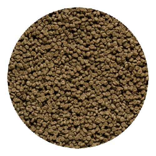 Pellets Gallery Image