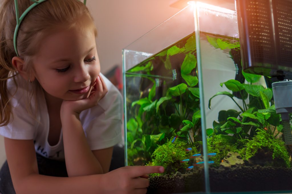 Portrait of cheerful little girl choosing tropical fish in zoo shop