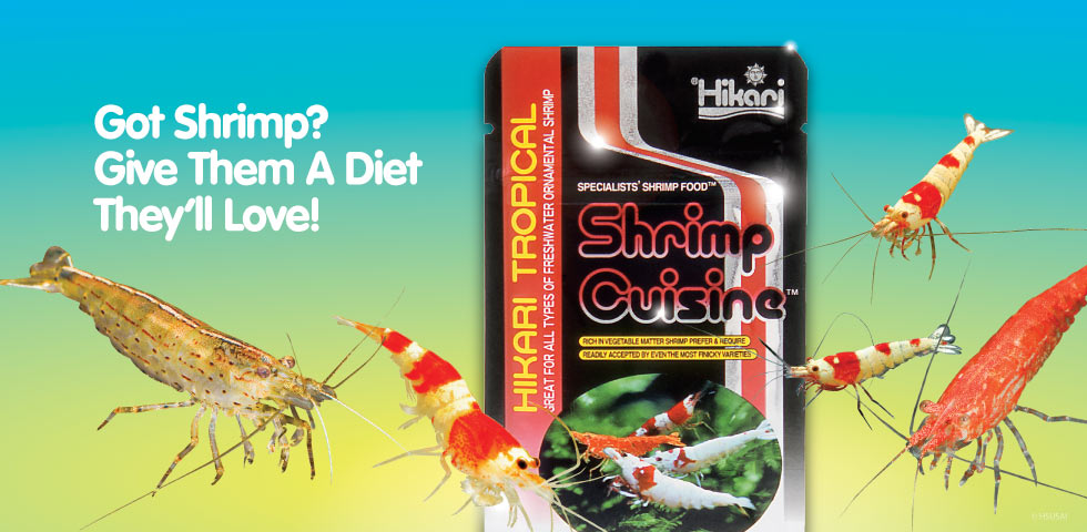 Keepin' it classy. Hikari Tropical Shrimp Cuisine—Great for crabs too!